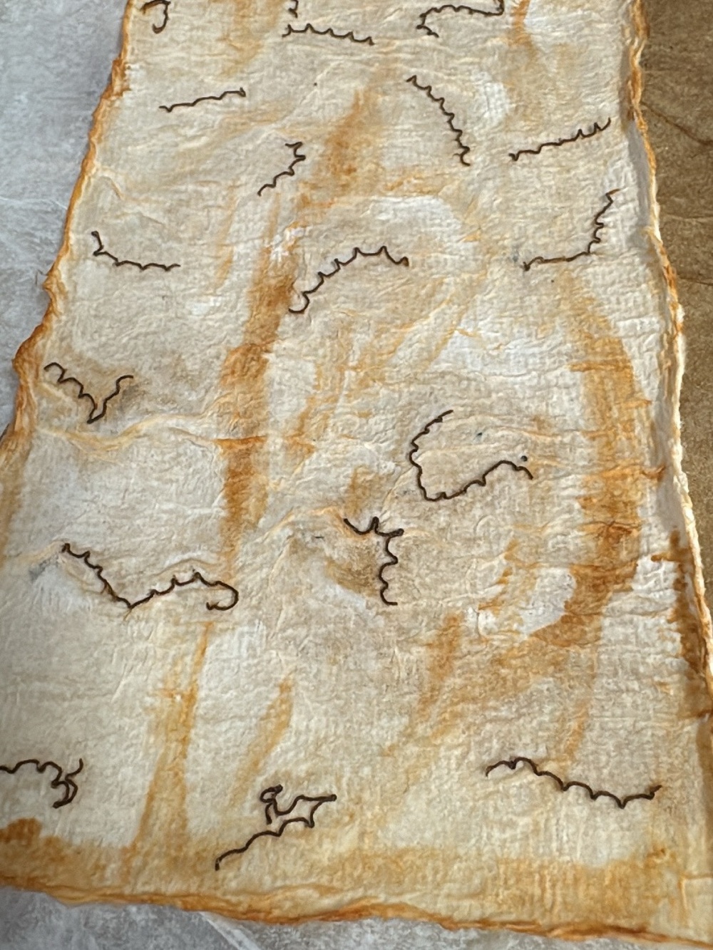 Homemade Rice Paper Sheets - Picture 10 of 11